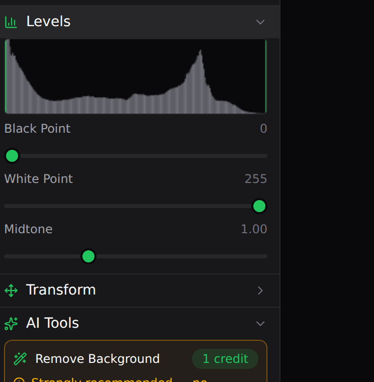 The Levels section with a histogram and Black Point, White Point, and Midtone sliders